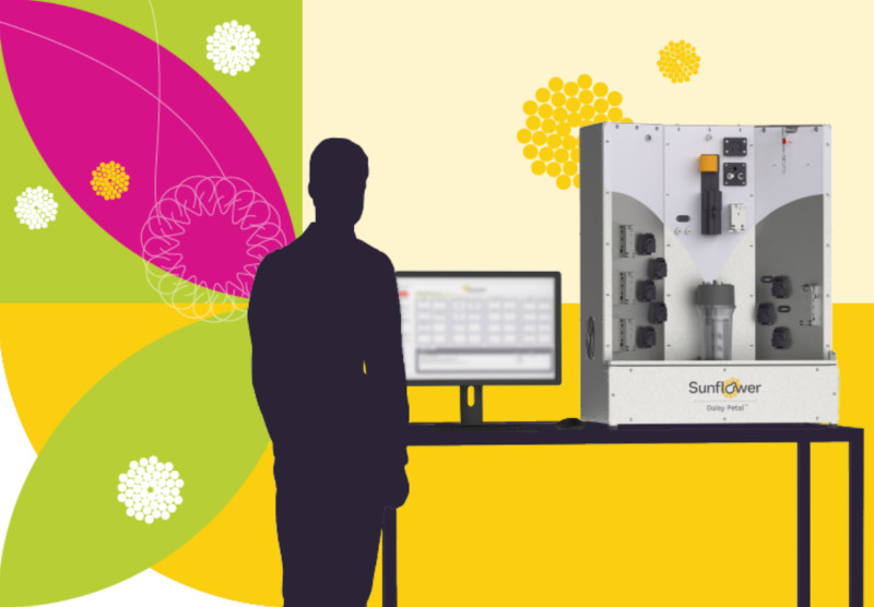 Sunflower therapeutics logo.