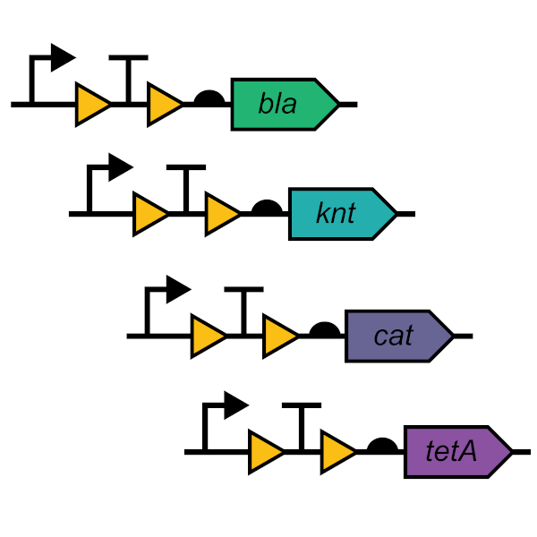 Opto-Cre-Vvd
